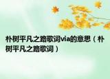 朴树平凡之路歌词via的意思（朴树平凡之路歌词）