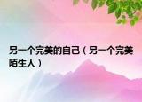 另一个完美的自己（另一个完美陌生人）
