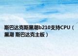 斯巴达克斯黑潮b210支持CPU（黑潮 斯巴达克主板）