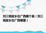 刘三姐故乡在广西哪个县（刘三姐故乡在广西哪里）