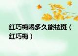 红巧梅喝多久能祛斑（红巧梅）