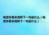 梅雪争春未肯降下一句是什么（梅雪争春未肯降下一句是什么）