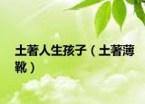 土著人生孩子（土著薄靴）