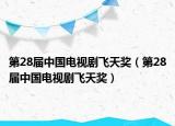 第28届中国电视剧飞天奖（第28届中国电视剧飞天奖）
