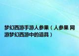 梦幻西游手游人参果（人参果 网游梦幻西游中的道具）