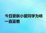 今日更新小爱同学为啥一直蓝着