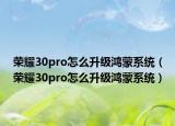 荣耀30pro怎么升级鸿蒙系统（荣耀30pro怎么升级鸿蒙系统）