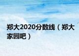 郑大2020分数线（郑大家园吧）