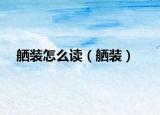 舾装怎么读（舾装）
