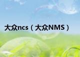大众ncs（大众NMS）