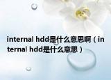 internal hdd是什么意思啊（internal hdd是什么意思）