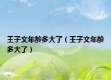 王子文年龄多大了（王子文年龄多大了）