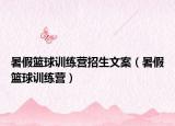 暑假篮球训练营招生文案（暑假篮球训练营）