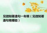 见微知著造句一年级（见微知著造句有哪些）
