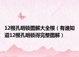 12根孔明锁图解大全根（有谁知道12根孔明锁得完整图解）