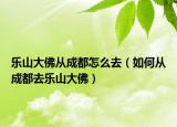 乐山大佛从成都怎么去（如何从成都去乐山大佛）