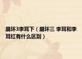 崩坏3李耳下（崩坏三 李耳和李耳红有什么区别）