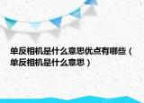 单反相机是什么意思优点有哪些（单反相机是什么意思）