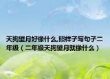 天狗望月好像什么,照样子写句子二年级（二年级天狗望月就像什么）