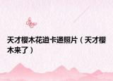 天才樱木花道卡通照片（天才樱木来了）