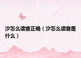 汐怎么读音正确（汐怎么读音是什么）
