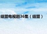 结盟电视剧36集（结盟）