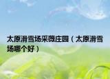 太原滑雪场采薇庄园（太原滑雪场哪个好）