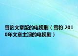 雪豹文章版的电视剧（雪豹 2010年文章主演的电视剧）