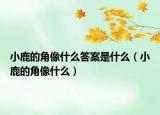 小鹿的角像什么答案是什么（小鹿的角像什么）