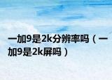 一加9是2k分辨率吗（一加9是2k屏吗）