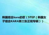 韩国组合kara的歌（STEP（韩国女子组合KARA第三张正规专辑））