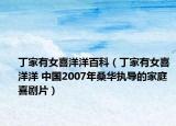 丁家有女喜洋洋百科（丁家有女喜洋洋 中国2007年桑华执导的家庭喜剧片）