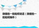微信拍一拍如何说话（微信拍一拍如何操作）
