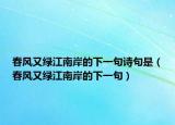 春风又绿江南岸的下一句诗句是（春风又绿江南岸的下一句）