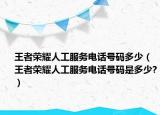 王者荣耀人工服务电话号码多少（王者荣耀人工服务电话号码是多少?）
