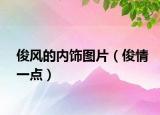 俊风的内饰图片（俊情一点）