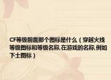 CF等级前面那个图标是什么（穿越火线等级图标和等级名称,在游戏的名称,例如下士图标）