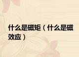 什么是磁矩（什么是磁效应）