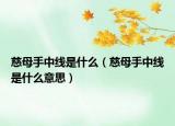 慈母手中线是什么（慈母手中线是什么意思）