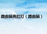 路由猫亮红灯（路由猫）
