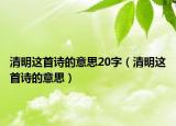 清明这首诗的意思20字（清明这首诗的意思）