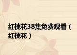 红槐花38集免费观看（红槐花）