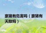 豪猪有危害吗（豪猪有天敌吗）