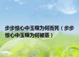 步步惊心中玉檀为何而死（步步惊心中玉檀为何被蒸）