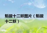 魁拔十二妖图片（魁拔十二妖）