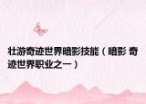 壮游奇迹世界暗影技能（暗影 奇迹世界职业之一）