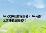 bak文件没有后缀名（.bak是什么文件的后缀名?）