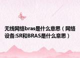 无线网络bras是什么意思（网络设备:SR和BRAS是什么意思）