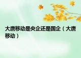 大唐移动是央企还是国企（大唐移动）