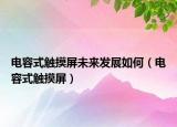 电容式触摸屏未来发展如何（电容式触摸屏）